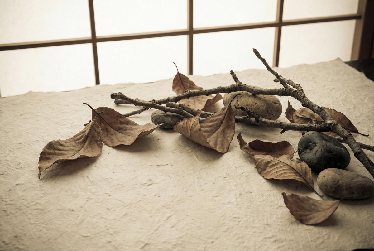 17c自然素材创作禅意视频教程